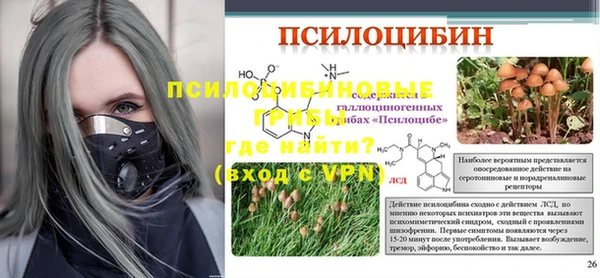 ПСИЛОЦИБИНОВЫЕ ГРИБЫ Абинск