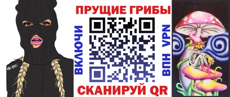 Галлюциногенные грибы Psilocybe  Богданович 