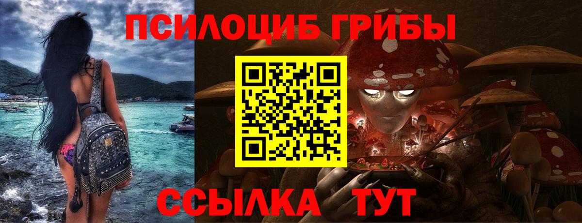 Галлюциногенные грибы ЛСД Богданович