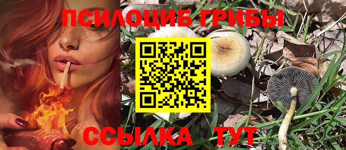 Галлюциногенные грибы прущие грибы  Вход с VPN  Богданович  цена   Галлюциногенные грибы MAGIC MUSHROOMS 