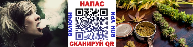 Шишки марихуана тримм как найти наркотики Богданович